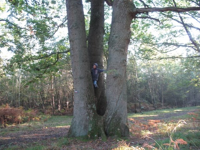 2007 10 Myco Pecqueuse 11